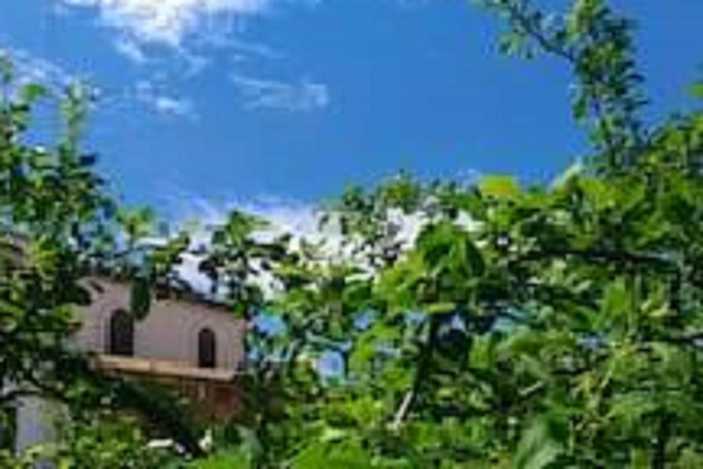 Il Gelsomino Home Holiday Alcamo Exteriér fotografie